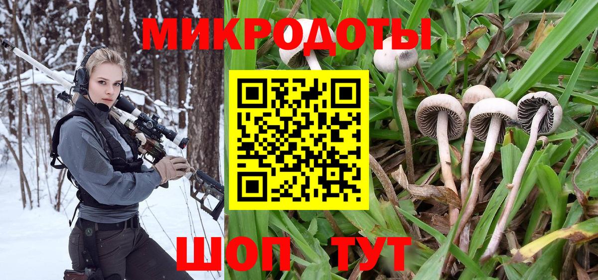 Псилоцибиновые грибы Magic Shrooms Ачхой-Мартан