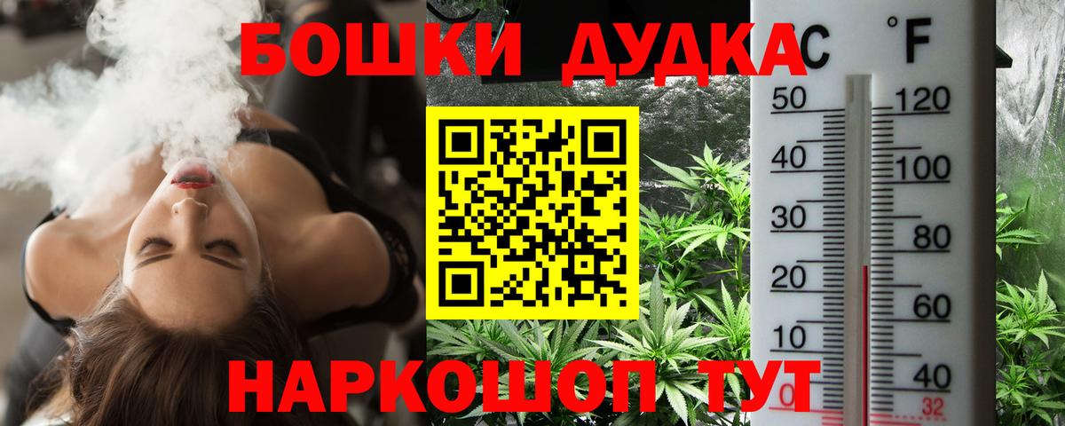 Каннабис Amnesia Ачхой-Мартан